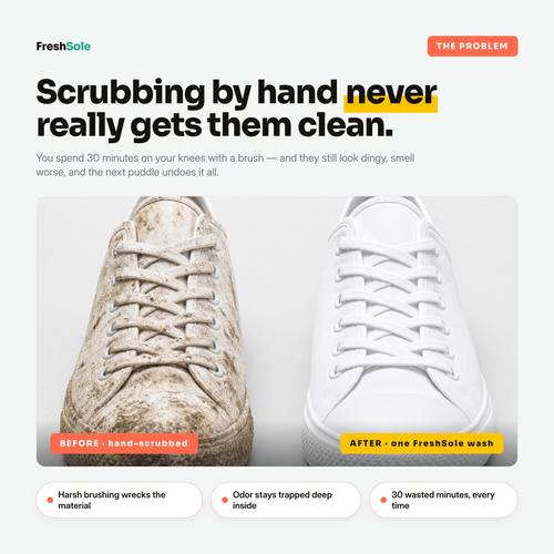 FreshSole Shoe Freshener